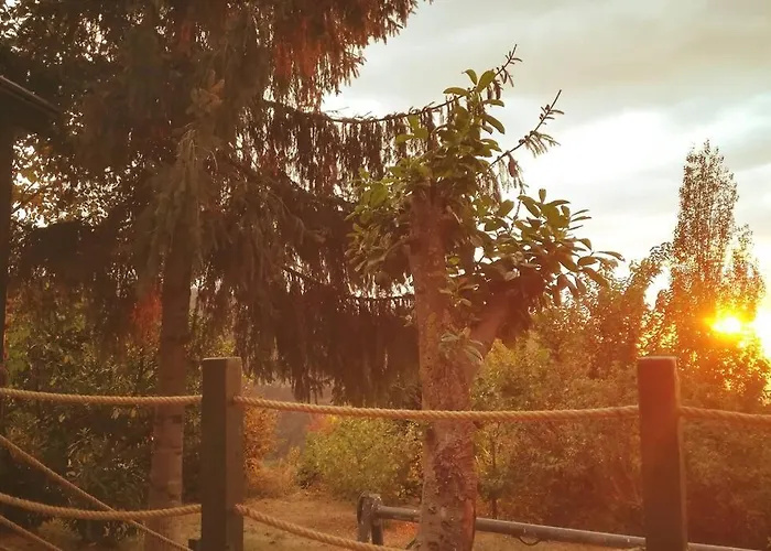 The Mountain House In Nature Near City Center. képek