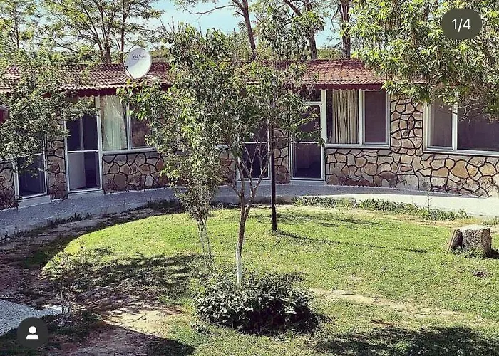 Family Motel Bungalov Mecidiyeの写真