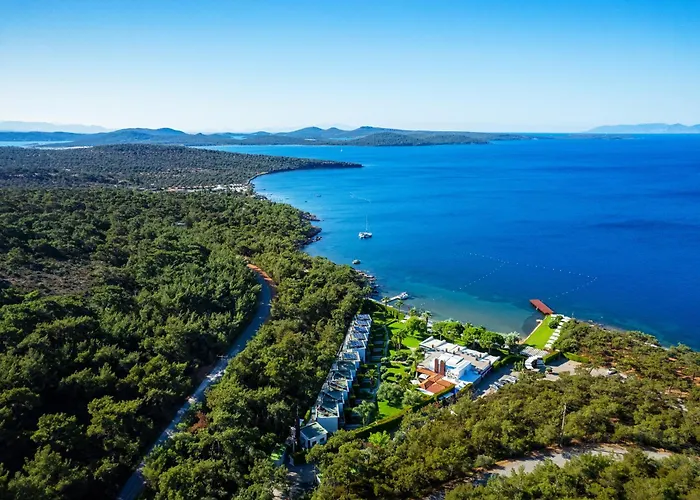 Ortunc Hotel - Cunda Island (Adults Only) Ayvalı zdjęcie