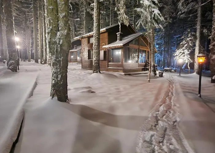 Karinna Orman Evleri Uludag  사진