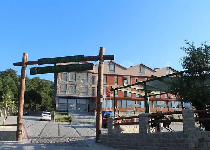 Yenice Goknar Hotelの写真