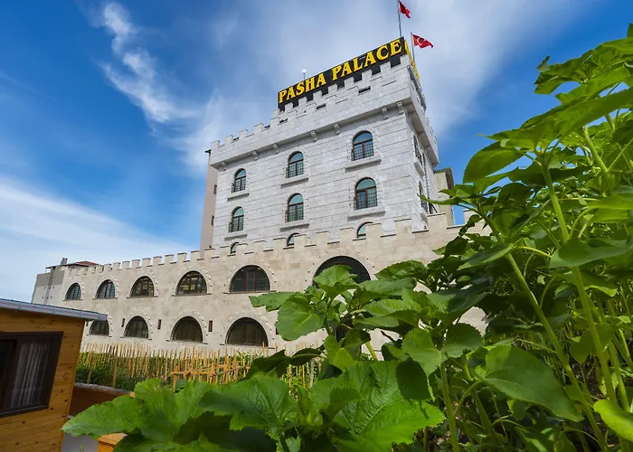Pasha Palace Hotel Sarigazi Foto
