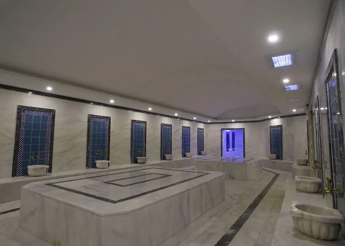 Фото Отель Armutlu Aqua Termal