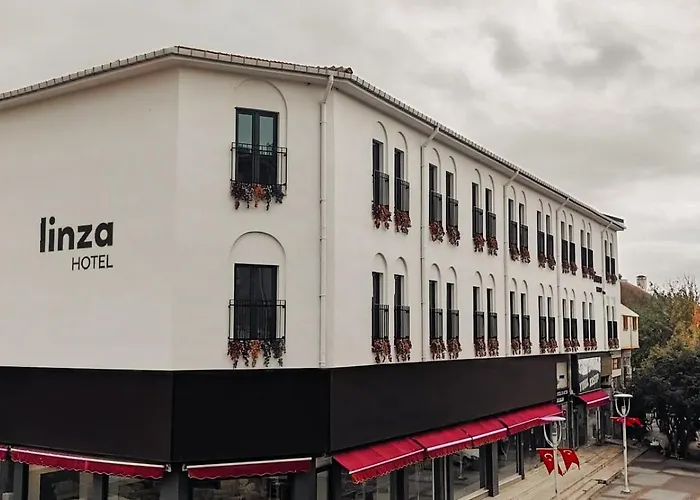 Linza Suite Babaiatik photo