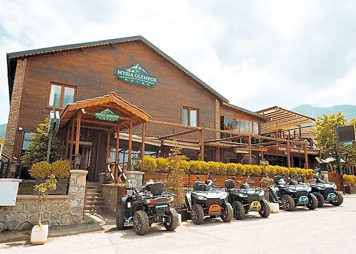 Фото Mysia Olympos Hotel Kestel 