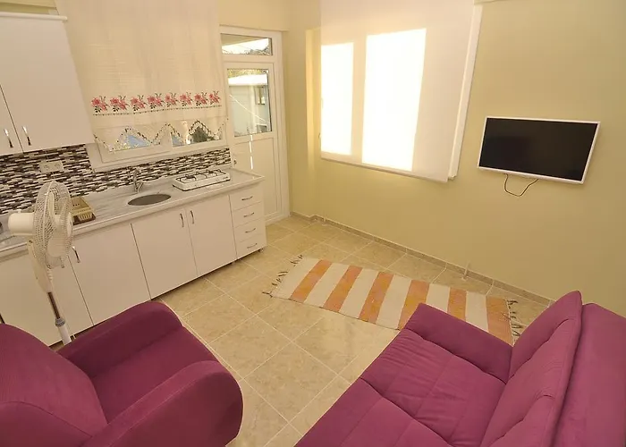 Karaduz Apart Otel Saraylar zdjęcie